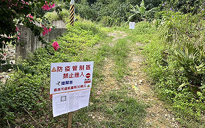 新北增8例本土登革熱 五股登林路列高風險區     