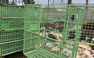 郵局242籃車遭盜賣！中華郵政：已追回將向廠商究責求償