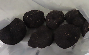 不合格率達7%！義大利松露重金屬履次超標 食藥署：恐將禁止進口