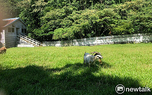 2023全球紀錄最熱年！氣溫破百年歷史  鄭明典：很多紀錄前所未見