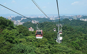 慶祝重陽節！65歲以上長者10/23北捷、貓纜免費搭