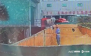 好貴的一泡尿! 員工在原料倉小便 青島啤酒股價暴跌至兩年新低