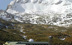 南極首見禽流感！專家憂：恐對企鵝等其它物種造成威脅