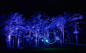 聽音樂、享受聲光藝術！藝穗節節目搬進台東光祭 10/28熱鬧登場