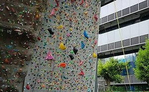 內湖運動中心女攀岩墜落亡!父求償600萬 救國團及業者遭判賠105萬