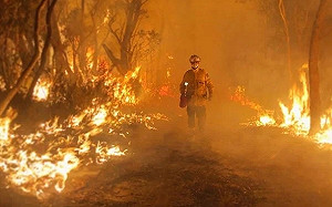 澳洲昆士蘭州野火肆虐毀30屋 當局促數千民眾速撤離