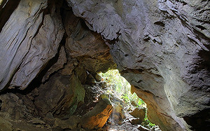 欣賞岩石自然美景！壽山4石灰岩洞重新開放 11月起可申請探洞
