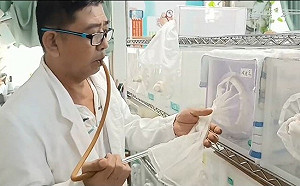 高雄本土登革熱＋14  創新生物防治技術近期發表成果