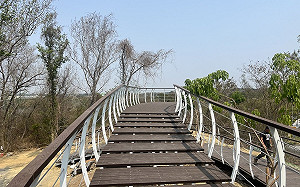 爬山踏青去！關廟森林公園打造全新休憩步道 搶拍夕陽美照
