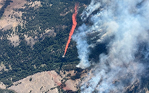 歐盟報告：2023年恐成12.5萬年以來最熱一年