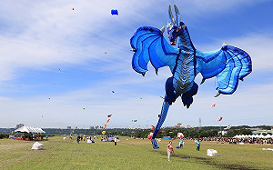 16米高飛天龍超壯觀！台東「池上箏chill風箏節」11/18連2天登場