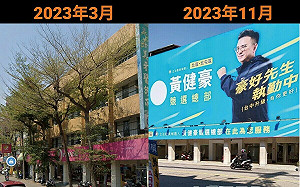 黃健豪稱砍路樹是既定政策 卓冠廷批硬凹：盧媽媽教你的嗎？