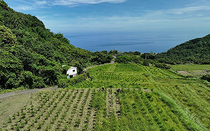 有機驗證及友善耕作面積超過2.3萬公頃！農糧署：覆蓋率台灣名列前茅