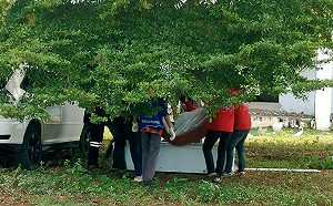 近距離槍殺！台男柬埔寨死亡 右眼、太陽穴及後腦勺都中彈！