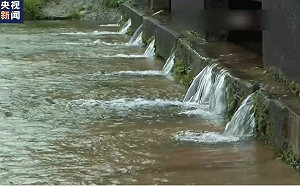 大阪居民血檢異常! 有機氟化合物偏高恐引發癌症 疑水源受汙染