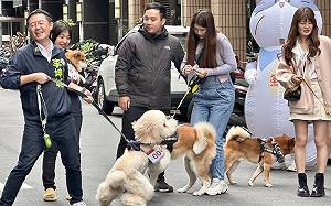 不口水談政策！李坤城承諾推動修改動保法 疼惜毛小孩