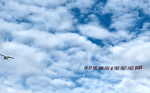 舊金山上空｢終結共產黨｣嗆習近平：自由中國、香港、西藏、維吾爾