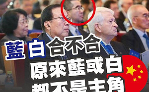 藍白都不是主角 李柏毅：頂多是中共的傀儡