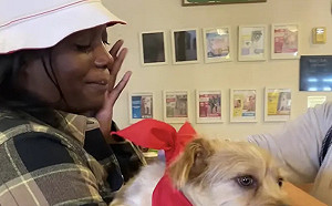 走失狗狗重逢主人！第一反應逼哭4萬人