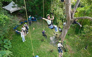 踏青攀樹逛市集！彰化里山森遊會11/18登場 體驗多元活動