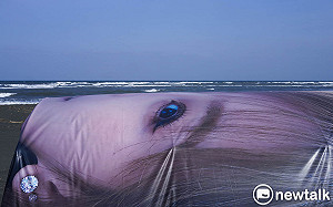 良影一二》競選帆布蓋魚寮 獨特的超現實地景 造就另類選民服務