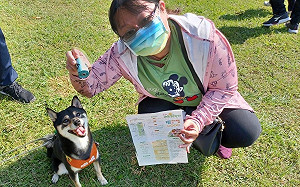 台中通APP結合野餐日推廣 毛孩家長直呼：超實用！