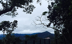 最狂梅雨報到！18縣市豪大雨特報，14縣市狂風特報