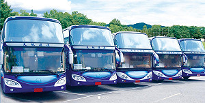 7輛車貸未繳清跳票　天馳否認倒閉