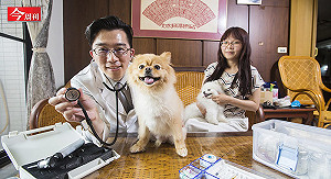 全球僅17人獲認證　中醫師靠樂高闖出一片天