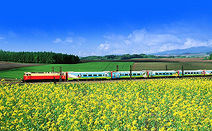 「環島之星」最狂火車玩法！頭等客艙座椅上欣賞美景啖美食