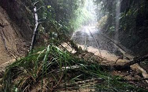 強降雨逾50毫米 阿里山鐵路本線今.明停駛