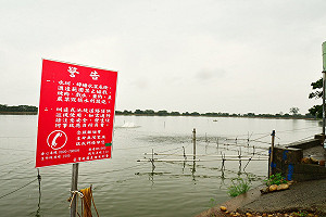 林全取消視察　徐國勇：吳郭魚疫區應維持現狀