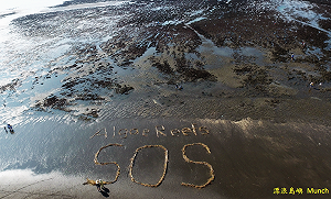 內政部通過觀塘案審查  中油承諾永久不開發藻礁生態區