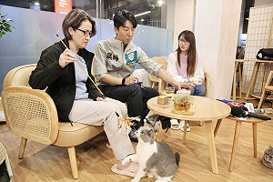 蕭美琴赴中和玩貓座談 送吳崢「Villa貓屋」幽默回應對手攻擊