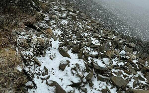 下雪囉！雪山明年1/2起施行雪季入園登山管理