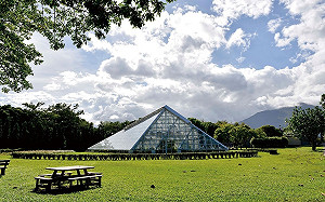體驗花蓮農村溫暖人情味！野餐聽音樂超享受