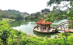 吃竹筍打卡看風景！台南龍崎采竹節12/10熱鬧登場