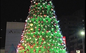 豐原最高耶誕樹夜市熱鬧登場 江啟臣點亮節氣溫馨歡樂氣