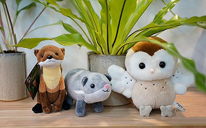 把草鴞 黃喉貂抱回家！3款森林明星玩偶限量開賣