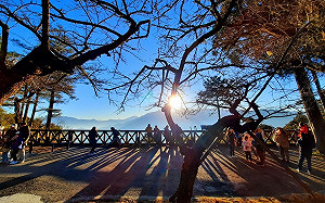 追阿里山第一道曙光！祝山觀日列車12/15開放網路訂票