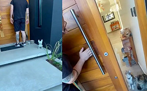 父子鑰匙忘在家！門口苦求3高冷貓幫忙開門