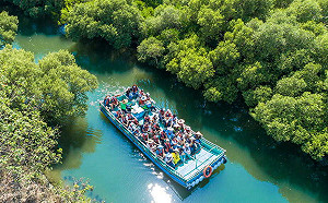 台南文化輕旅行！走訪自然與歷史交織的安南小鎮