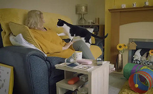 老人家養的貓都超乖！專家揭背後原理