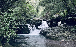 聽音樂享受山林之美！新北滿月圓「山之聲音樂會」12/18登場