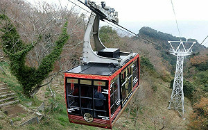 快訊》木柵山區現強風 貓空纜車延後營運