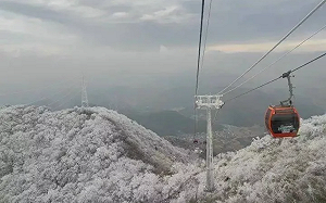 凍僵了… 浙江高空纜車卡半空 51人受困2小時