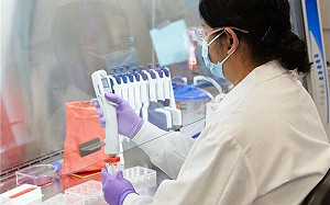 錯估需求 股價暴跌！輝瑞驚傳大裁員潮 2千多人受影響