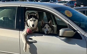 妻子「路上被帥哥搭訕」超嗨！尪見真相笑瘋