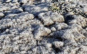 一週天氣一圖看！明起氣溫驟降全台有感 高山結冰機率高