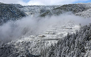 首波寒流明報到！太平山低溫下探0度   林業署啟動預警性管制